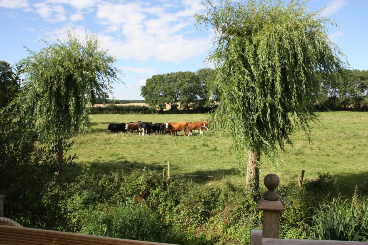Bridge Cottage Bed And Breakfast Peterborough Esterno foto